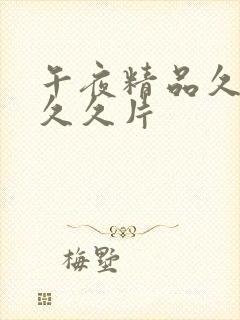 午夜精品久久久久久片