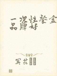 一次性餐盒哪个品牌好