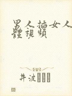 男人插女人的下体视频