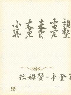 小丈夫电视剧全集免费完整版在线观看