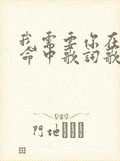 我需要你在我生命中歌词歌谱