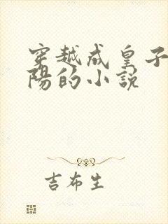 穿越成皇子李承阳的小说