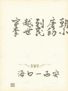 穿越到唐朝辅佐李世民的小说