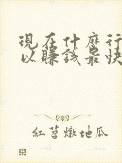 现在什么行业可以赚钱最快