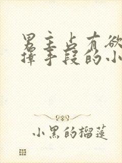 男主占有欲强不择手段的小说