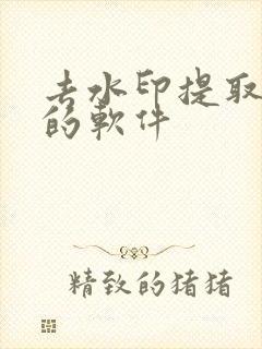 去水印提取视频的软件