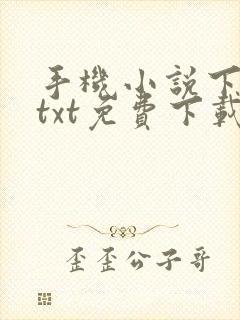 手机小说下载网txt免费下载