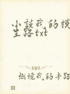 小说我的模拟长生路txt