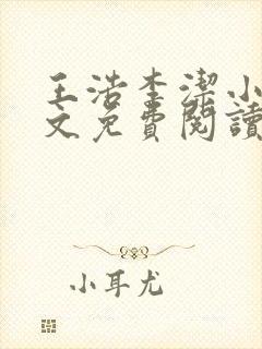 王浩李洁小说全文免费阅读