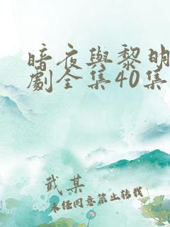 暗夜与黎明电视剧全集40集免费观看高清