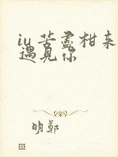 iu 苦尽柑来遇见你