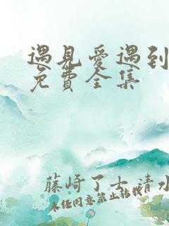 遇见爱遇到幸福免费全集