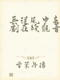 兵从风中来电视剧在线观看