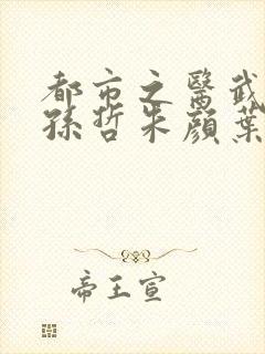 都市之医武风流孙哲朱颜叶巧