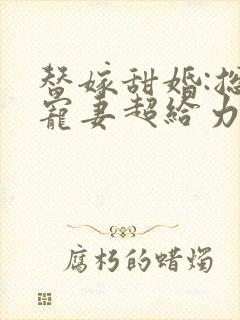 替嫁甜婚:总裁宠妻超给力