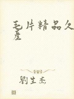 毛片精品久久国产