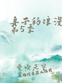 妻子的浪漫旅行第5季