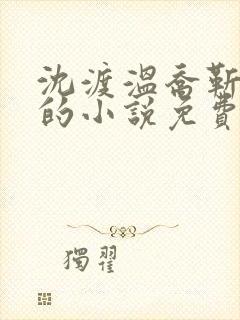 沈渡温乔靳平洲的小说免费