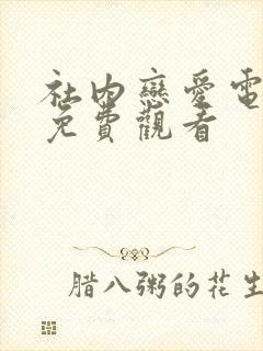 社内恋爱电视剧免费观看