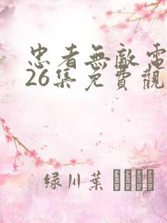 忠者无敌电视剧26集免费观看