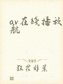 av在线播放导航