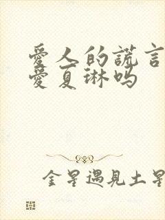 爱人的谎言向阳爱夏琳吗