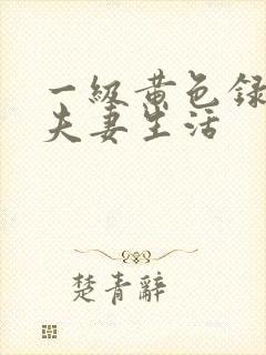 一级黄色录像片夫妻生活