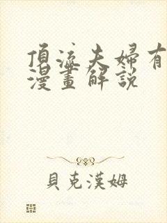 顶流夫妇有点甜漫画解说