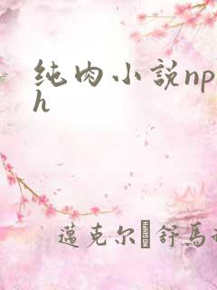 纯肉小说np高h