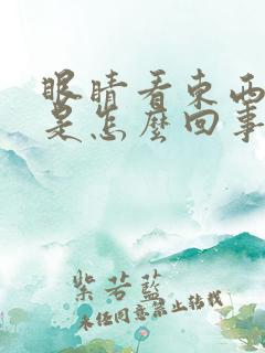 眼睛看东西有影是怎么回事