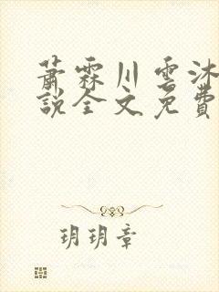 萧霖川云沐芷小说全文免费阅读最新章节