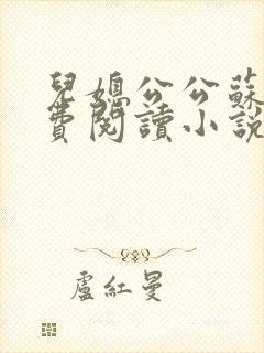 儿媳公公苏媚免费阅读小说