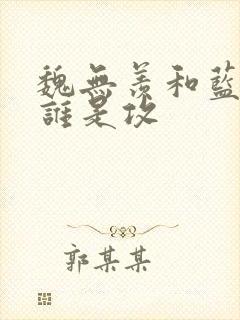 魏无羡和蓝忘机谁是攻