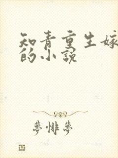 知青重生嫁糙汉的小说