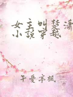 女主叫楚潇潇的小说穿越