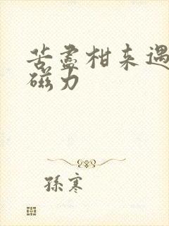 苦尽柑来遇见你磁力