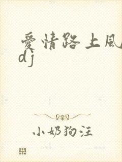 爱情路上风雨多dj
