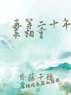 再等二十年我们来相会