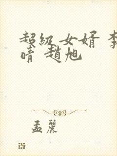 超级女婿 李晴晴 赵旭