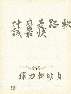 什么走路软件赚钱最快