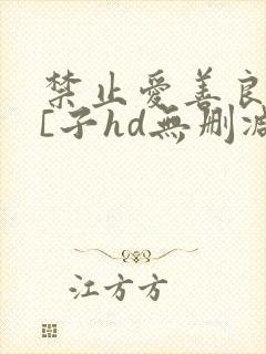 禁止爱善良的小[子hd无删减播放