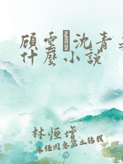 顾云玦沈青晏是什么小说