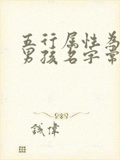 五行属性为金的男孩名字常用字