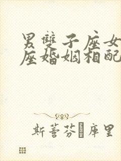 男双子座女狮子座婚姻相配吗