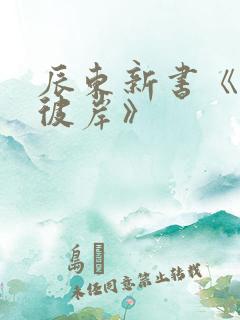 辰东新书《深空彼岸》