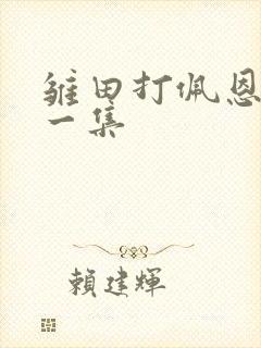 雏田打佩恩是哪一集