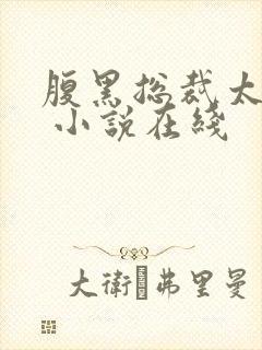 腹黑总裁太霸道 小说在线