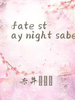 fate stay night saber被绑哪一集