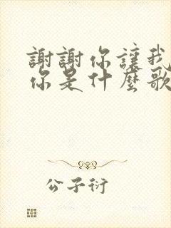 谢谢你让我遇见你是什么歌