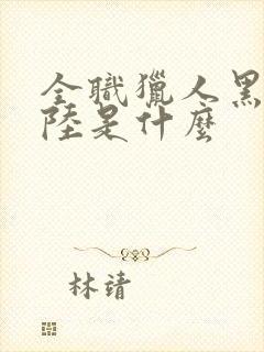 全职猎人黑暗大陆是什么